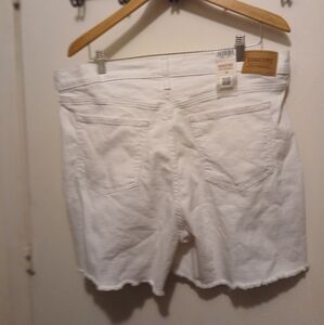 Signature Levi Strauss Size 20